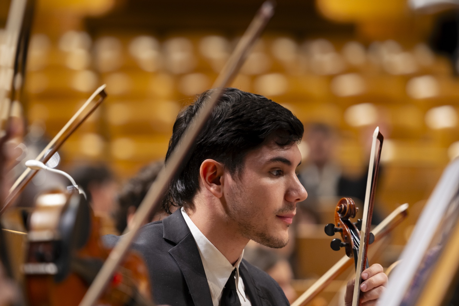 Joven violinista concentrado durante el concierto